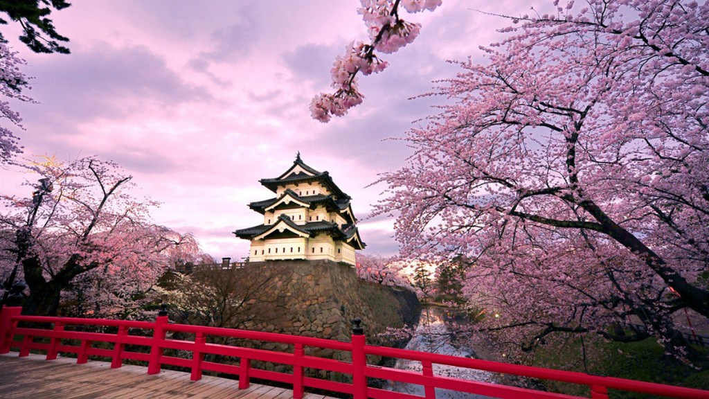 Kyoto Japan cherry blossoms spring