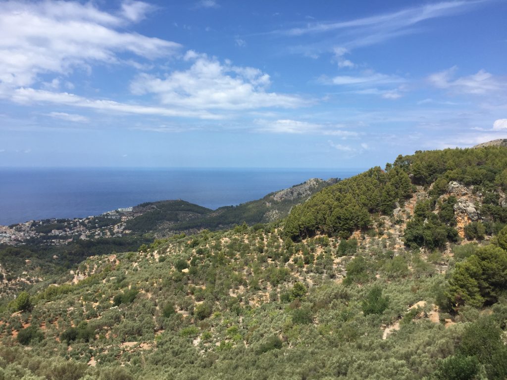 Island Guide Mallorca view