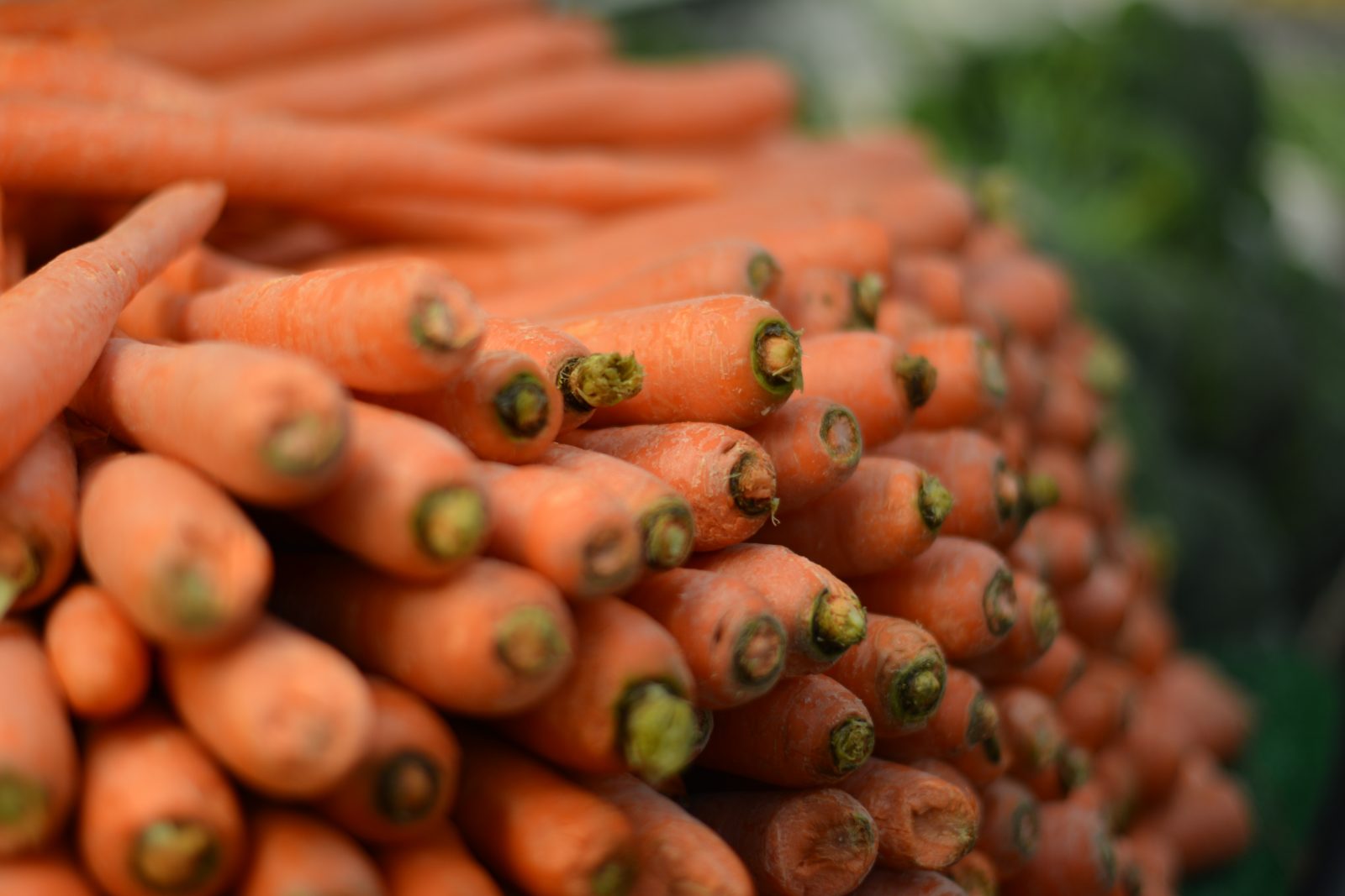 Dutch food carrots