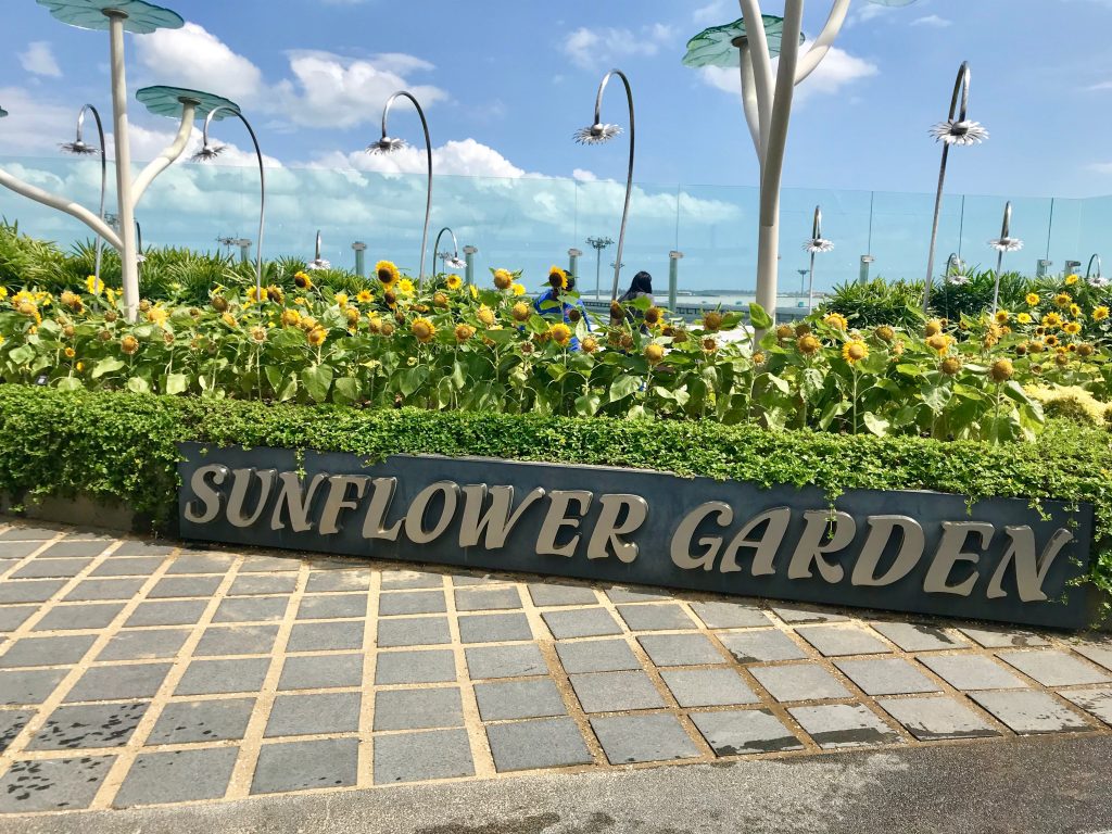 Entertainment at Singapore Airport Sunflower Garden